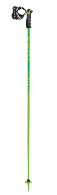 LEKI DETECT S yellowgreen-woodgreen-white sjezdové hole | 110 cm, 115 cm, 120 cm